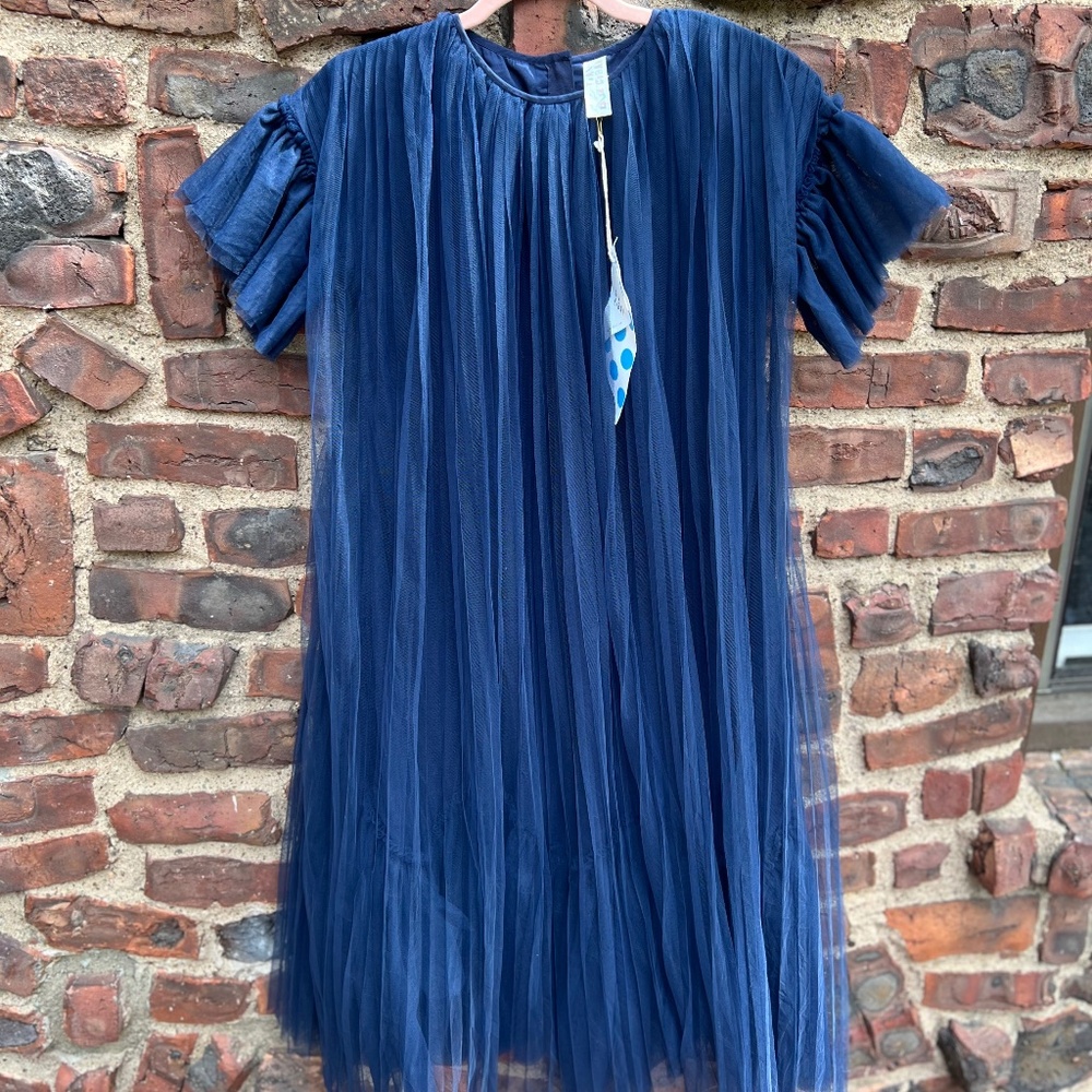 TIA CIBANI tulle pleated gown